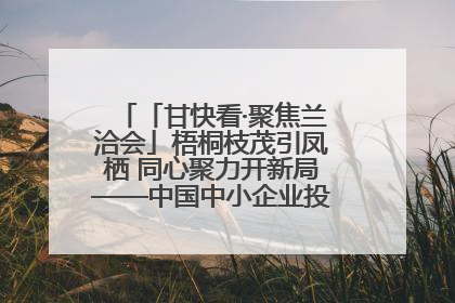 「甘快看·聚焦兰洽会」梧桐枝茂引凤栖 同心聚力开新局——中国中小企业投资洽谈会侧记