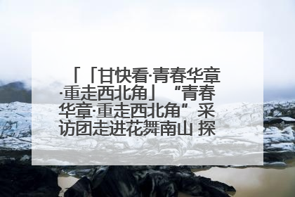 「甘快看·青春华章·重走西北角」“青春华章·重走西北角”采访团走进花舞南山 探寻天水乡村振兴之路