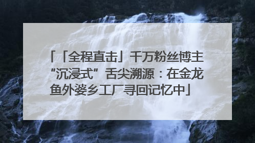 「全程直击」千万粉丝博主“沉浸式”舌尖溯源：在金龙鱼外婆乡工厂寻回记忆中