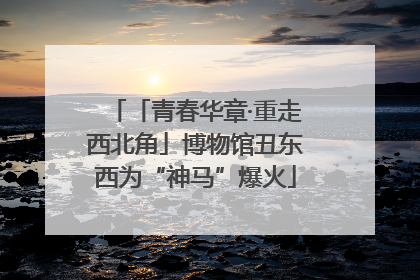「青春华章·重走西北角」博物馆丑东西为“神马”爆火