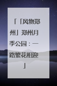 「风物郑州」郑州月季公园：一路繁花相迎