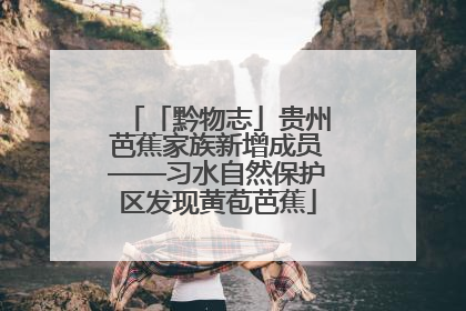 「黔物志」贵州芭蕉家族新增成员——习水自然保护区发现黄苞芭蕉
