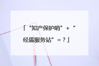 “知产保护哨”+“经盾服务站”=？