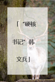“硬核书记”韩文兵