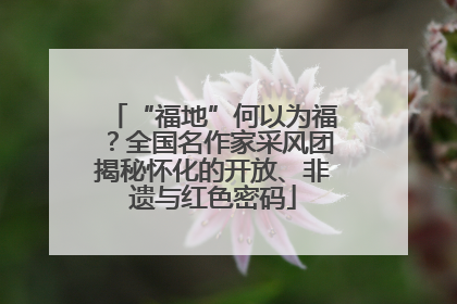 “福地”何以为福？全国名作家采风团揭秘怀化的开放、非遗与红色密码