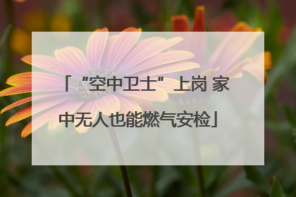 “空中卫士”上岗 家中无人也能燃气安检