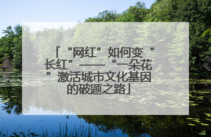 “网红”如何变“长红”——“一朵花”激活城市文化基因的破题之路