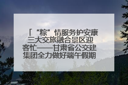 “粽”情服务护安康 三大交旅融合景区迎客忙——甘肃省公交建集团全力做好端午假期景区运营工作