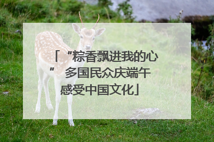 “粽香飘进我的心” 多国民众庆端午感受中国文化