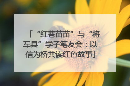 “红巷苗苗”与“将军县”学子笔友会：以信为桥共读红色故事