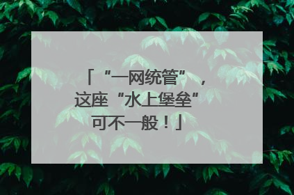 “一网统管”，这座“水上堡垒”可不一般！