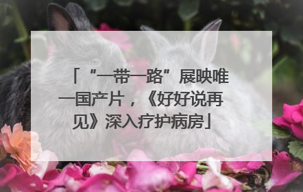 “一带一路”展映唯一国产片，《好好说再见》深入疗护病房