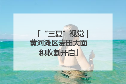 “三夏”视觉｜黄河滩区麦田大面积收割开启