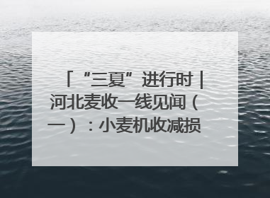 “三夏”进行时｜河北麦收一线见闻（一）：小麦机收减损“竞技” 农机高手麦田“过招”
