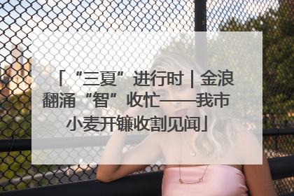 “三夏”进行时｜金浪翻涌“智”收忙——我市小麦开镰收割见闻