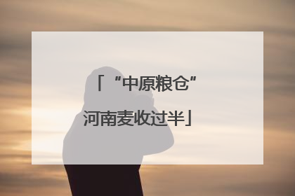 “中原粮仓”河南麦收过半