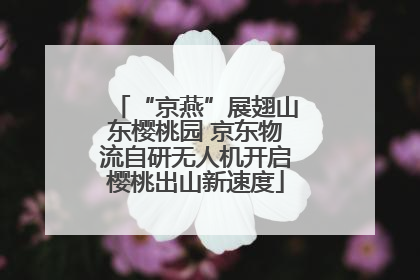 “京燕”展翅山东樱桃园 京东物流自研无人机开启樱桃出山新速度