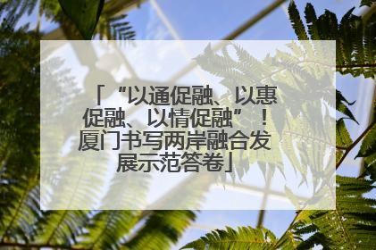 “以通促融、以惠促融、以情促融”！厦门书写两岸融合发展示范答卷