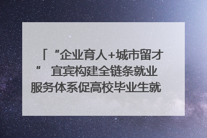 “企业育人+城市留才” 宜宾构建全链条就业服务体系促高校毕业生就业｜您牵挂的四川
