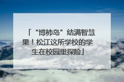 “博柿岛”结满智慧果！松江这所学校的学生在校园里探险