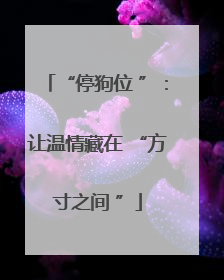 “停狗位 ”：让温情藏在 “方寸之间 ”