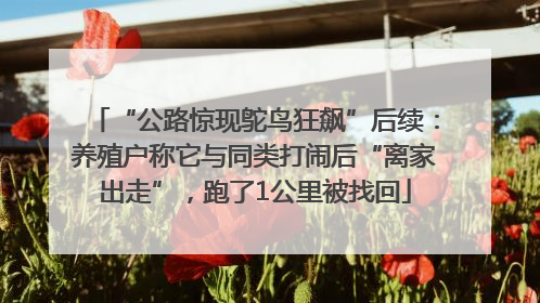 “公路惊现鸵鸟狂飙”后续：养殖户称它与同类打闹后“离家出走”，跑了1公里被找回