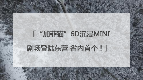 “加菲猫”6D沉浸MINI剧场登陆东营 省内首个！