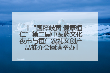 “国粹岐黄 健康桓仁”第二届中医药文化夜市与桓仁农礼文创产品推介会圆满举办