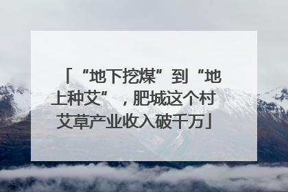 “地下挖煤”到“地上种艾”，肥城这个村艾草产业收入破千万