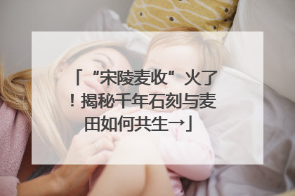 “宋陵麦收”火了！揭秘千年石刻与麦田如何共生→