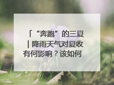 “奔跑”的三夏｜降雨天气对夏收有何影响？该如何防范？一文了解