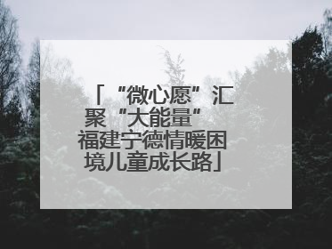 “微心愿”汇聚“大能量” 福建宁德情暖困境儿童成长路