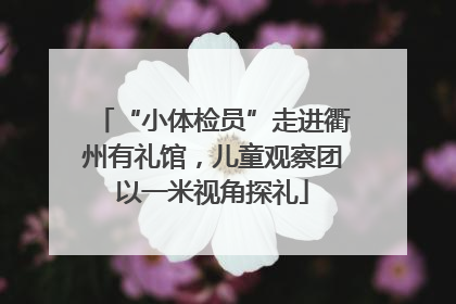 “小体检员”走进衢州有礼馆，儿童观察团以一米视角探礼