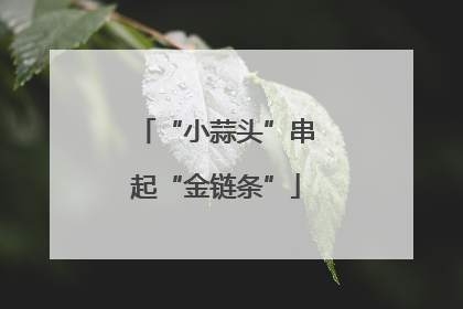 “小蒜头”串起“金链条”
