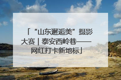 “山东邂逅美”摄影大赛｜泰安西岭巷——网红打卡新地标