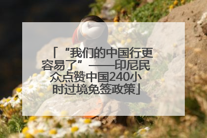 “我们的中国行更容易了”——印尼民众点赞中国240小时过境免签政策