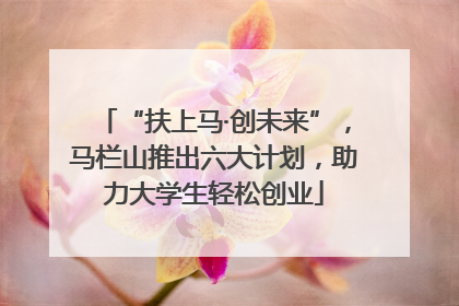 “扶上马·创未来”，马栏山推出六大计划，助力大学生轻松创业