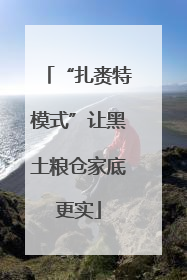 “扎赉特模式”让黑土粮仓家底更实