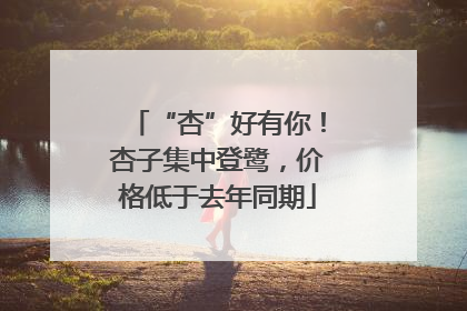 “杏”好有你！杏子集中登鹭，价格低于去年同期