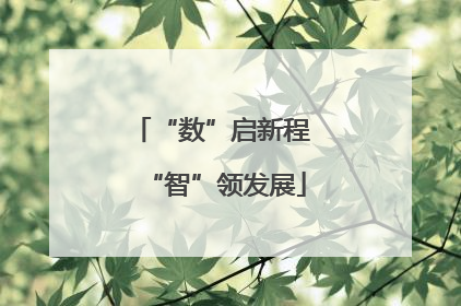 “数”启新程 “智”领发展