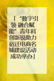 “数字引领 融合赋能”青年科创新锐助力宿迁电商名城建设活动成功举办