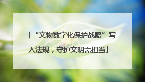 “文物数字化保护战略”写入法规,守护文明需担当