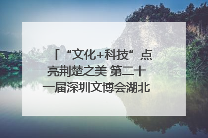 “文化+科技”点亮荆楚之美 第二十一届深圳文博会湖北馆抢“鲜”看