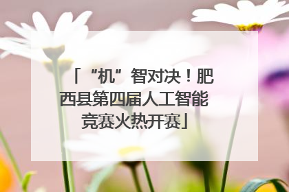 “机”智对决！肥西县第四届人工智能竞赛火热开赛