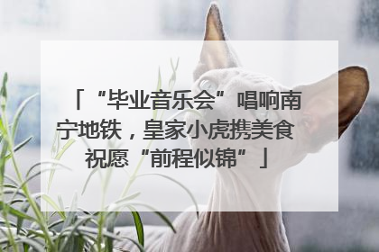 “毕业音乐会”唱响南宁地铁，皇家小虎携美食祝愿“前程似锦”
