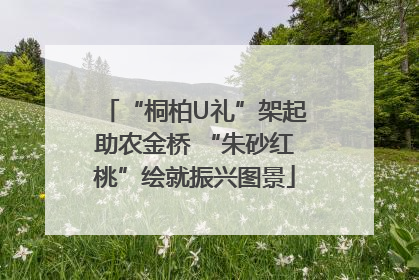 “桐柏U礼”架起助农金桥 “朱砂红桃”绘就振兴图景