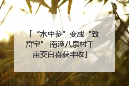 “水中参”变成“致富宝” 南漳八泉村千亩茭白喜获丰收