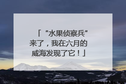 “水果侦察兵”来了，我在六月的威海发现了它！