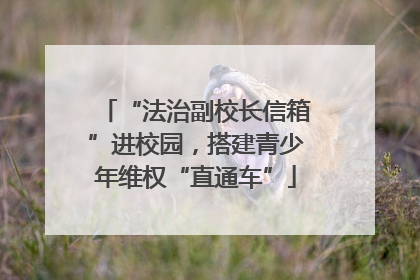 “法治副校长信箱”进校园，搭建青少年维权“直通车”