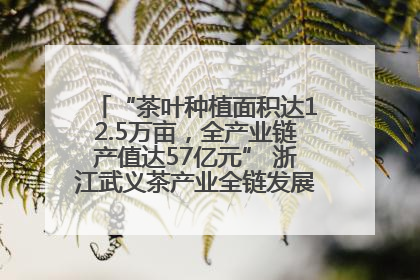 “茶叶种植面积达12.5万亩，全产业链产值达57亿元” 浙江武义茶产业全链发展“加速度”